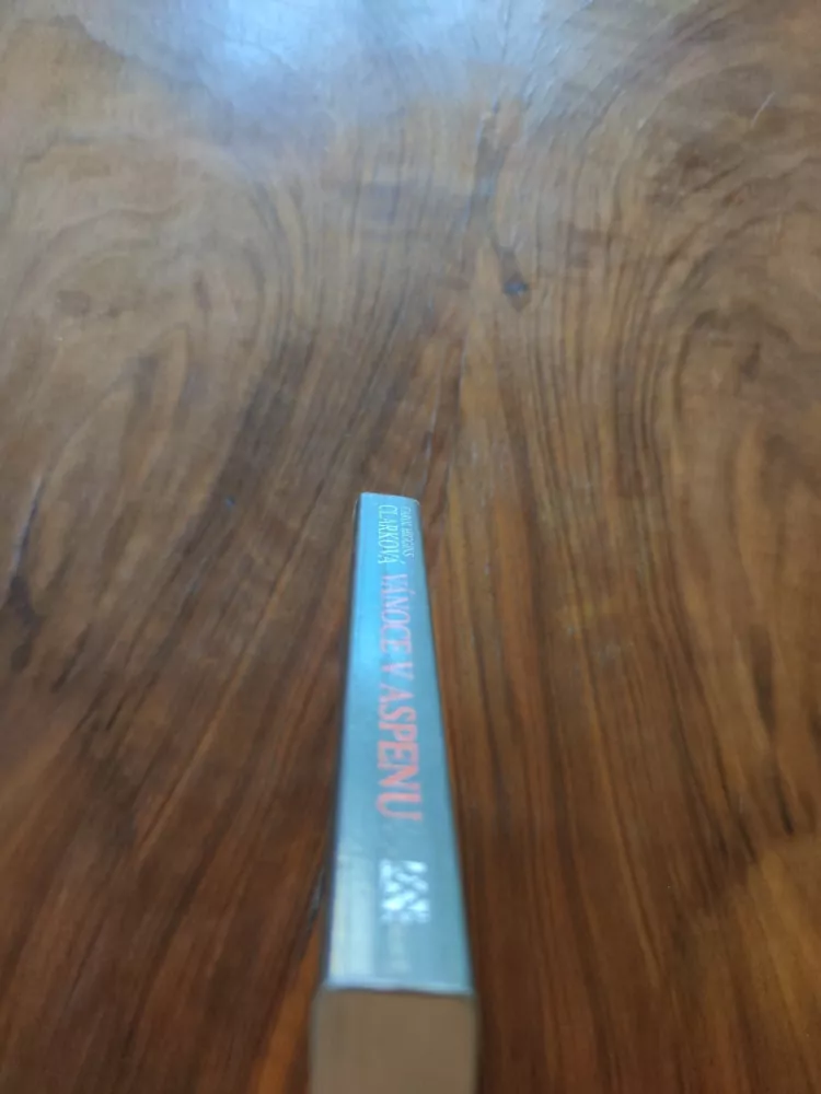 CAROL HIGGINS CLARK - Vánoce v Aspenu