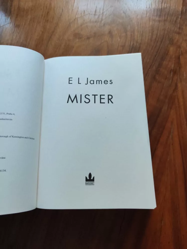 E. L. JAMES - Mister