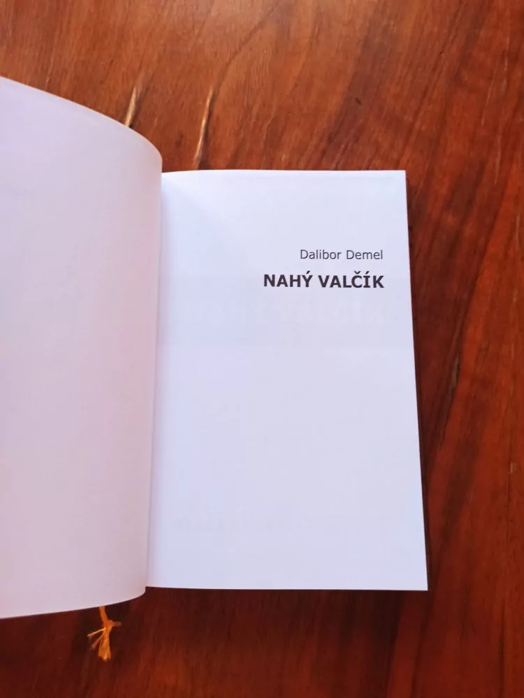 DALIBOR DEMEL - Nahý valčík