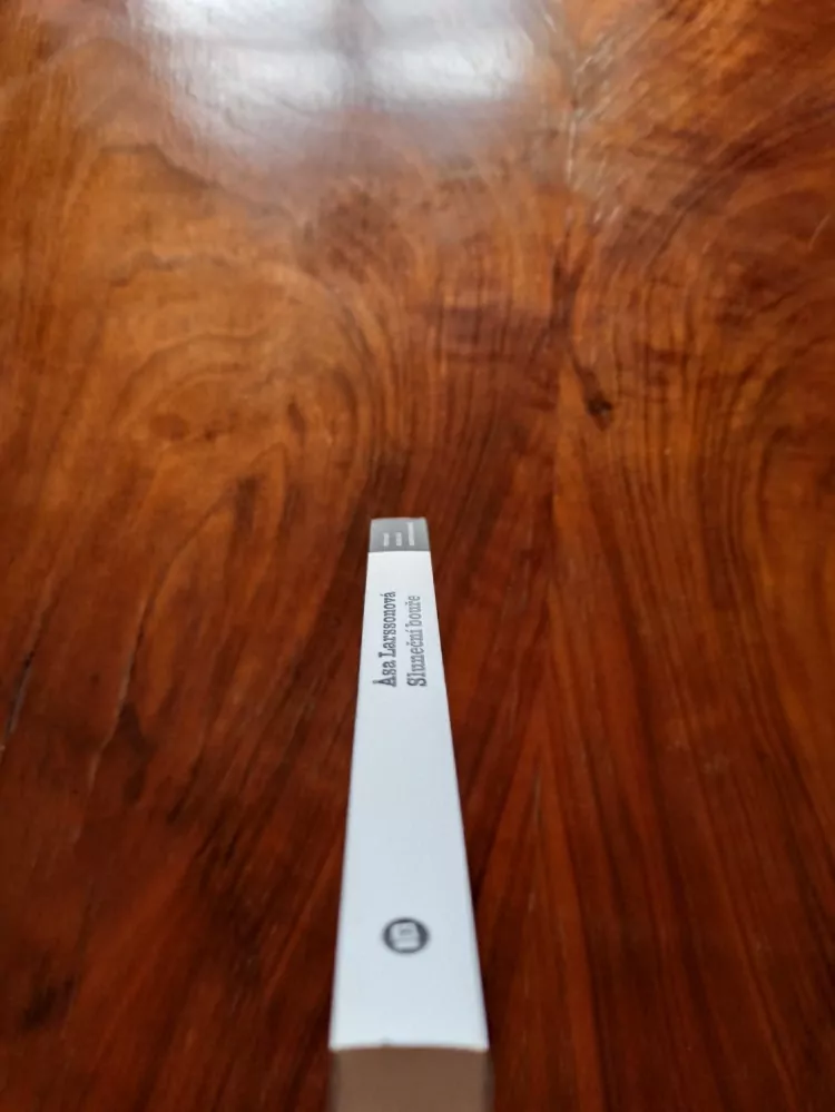 ÅSA LARSSON - Sluneční bouře