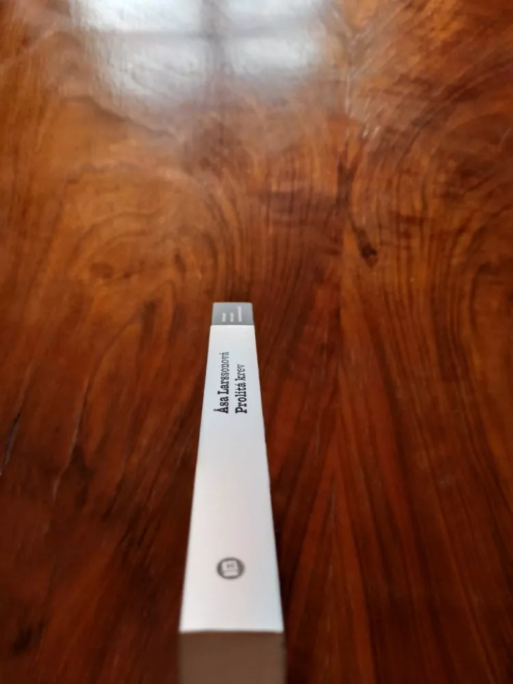 ÅSA LARSSON - Prolitá krev