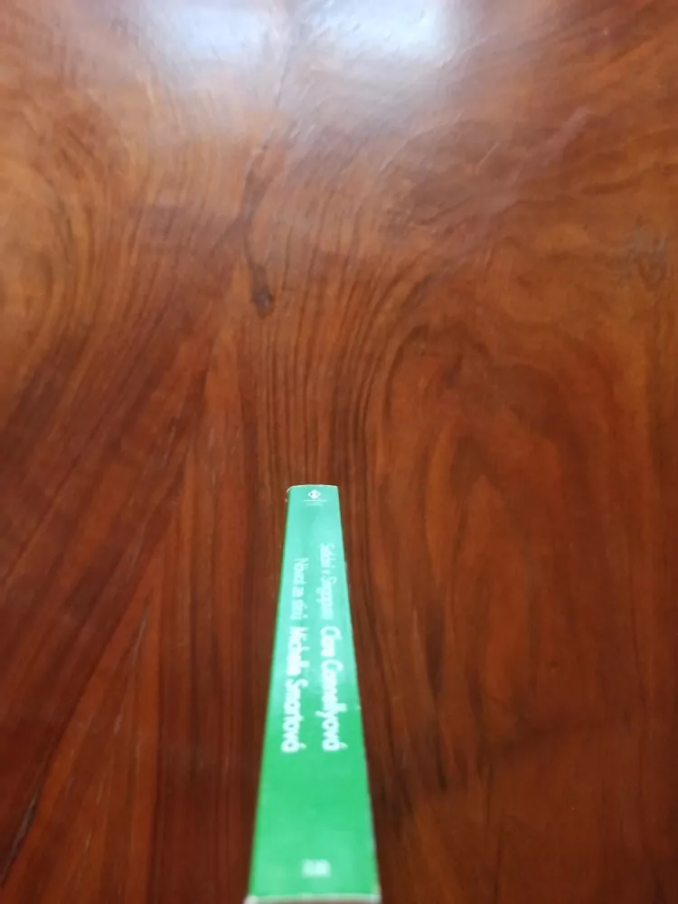 CLARE CONNELLY, MICHELLE SMART - Setkání v Singapuru, Návrat ze stínů