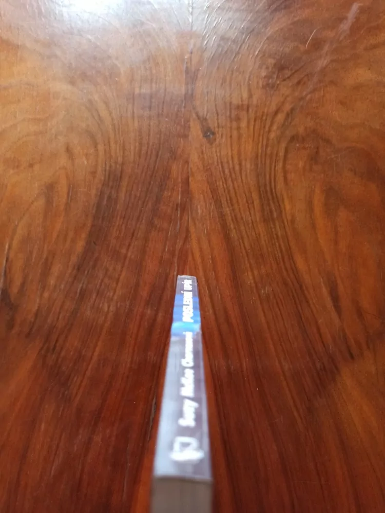 SUZY McKEE CHARNAS - Poslední upír