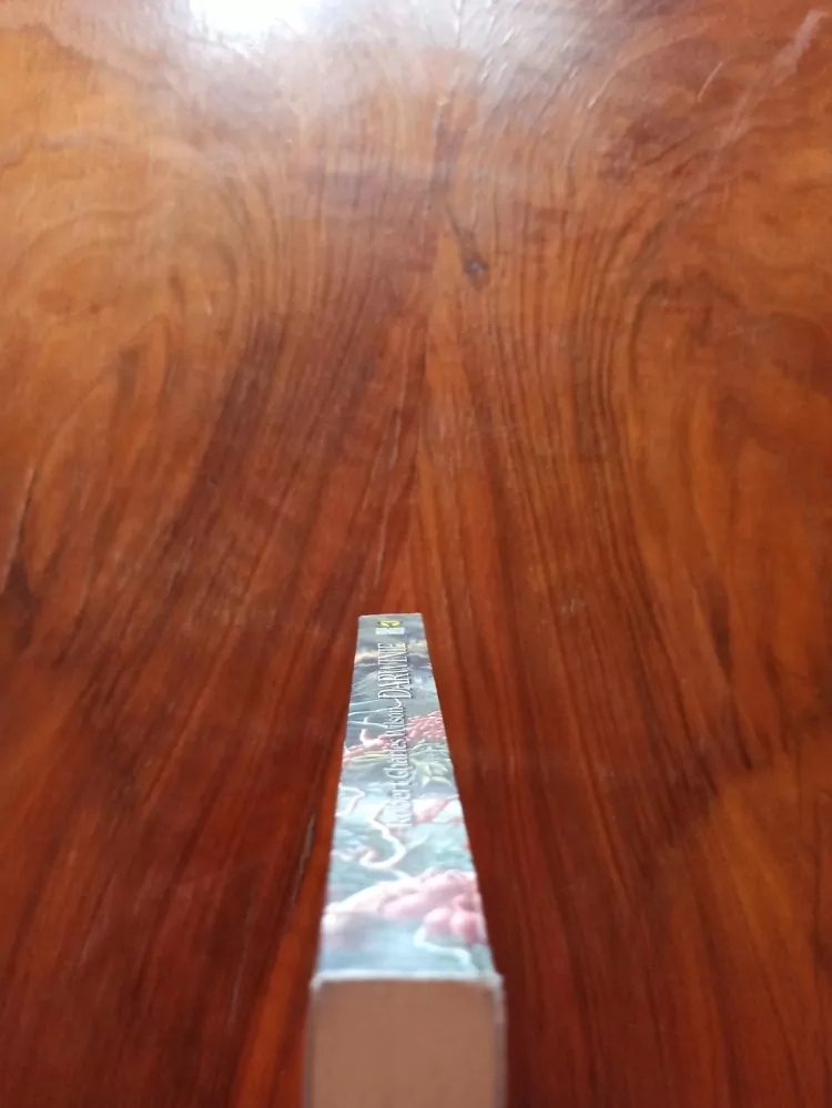 ROBERT CHARLES WILSON - Darwinie