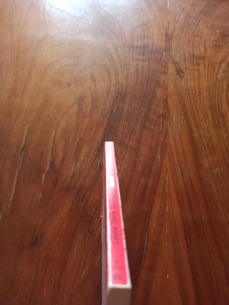 LESLIE DAVIS GUCCIONE - Derek