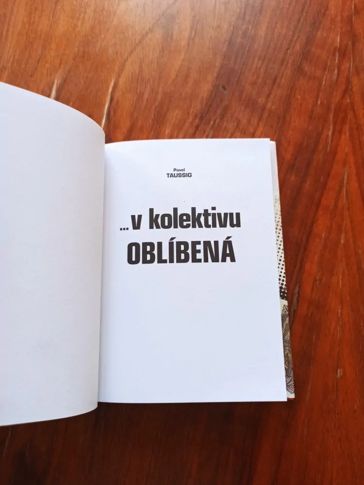 PAVEL TAUSSIG - ...v kolektivu oblíbená: Hana a její neobyčejně každodenní cesta mezi knihami