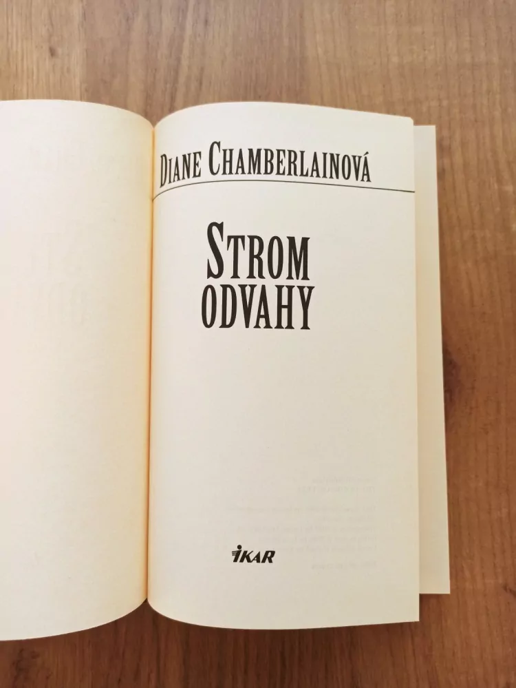 DIANE CHAMBERLAIN - Strom odvahy