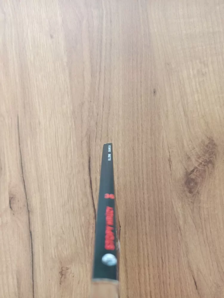 ROBERT LAWRENCE STINE - Záludné zlo - Stopy hrůzy (36.)