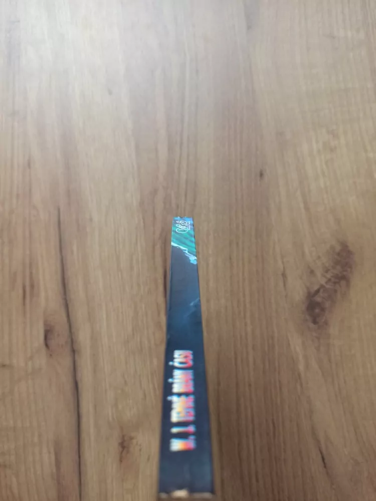 WOLFGANG JESCHKE - Temné brány času