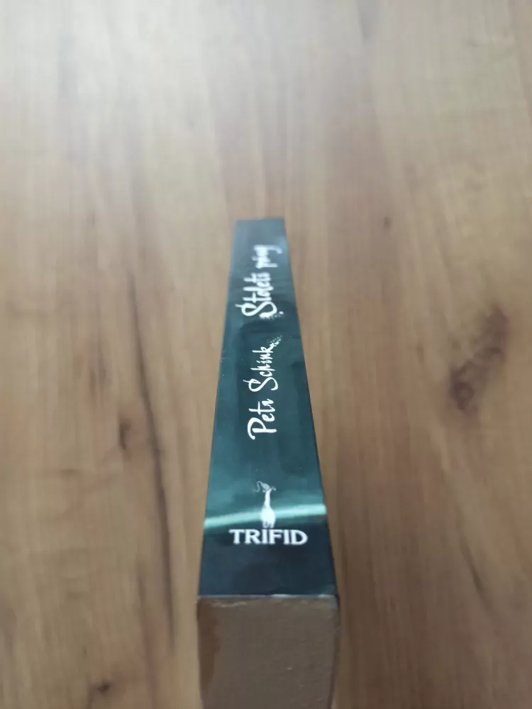 PETR SCHINK - Století páry