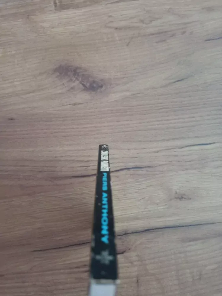 PIERS ANTHONY - Záblesk paměti