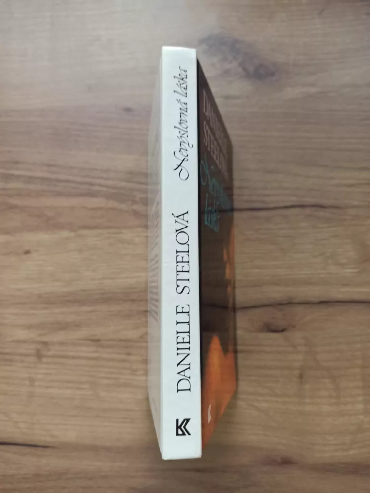 DANIELLE STEEL - Nevýslovná láska