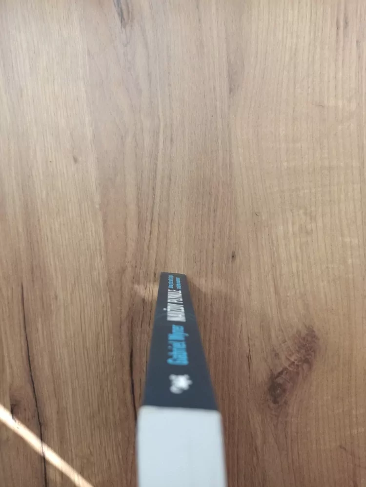 GABRIEL WYNER - Navždy plynule: Jak se rychle naučit cizí jazyk a nikdy ho nezapomenout