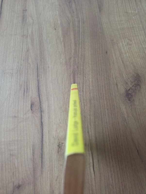 DAVID LODGE - Hostující profesoři