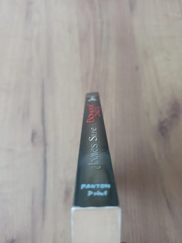 JAMES SILKE - Posel smrti, 2. díl - Bohové zkázy