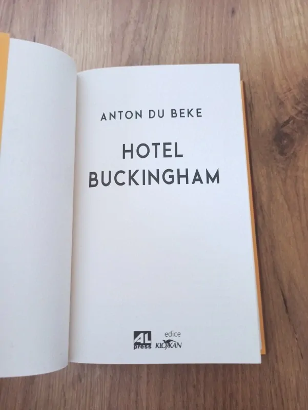 ANTON DU BEKE - Hotel Buckingham