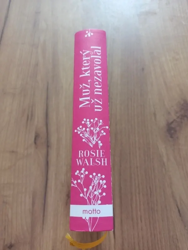 ROSIE WALSH - Muž, který už nezavolal