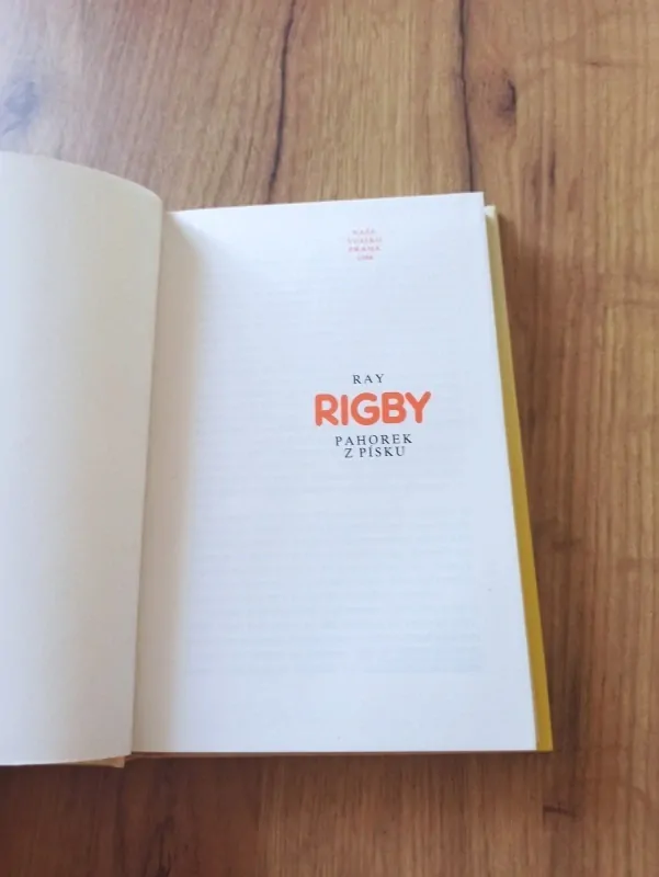 RAY RIGBY - Pahorek z písku