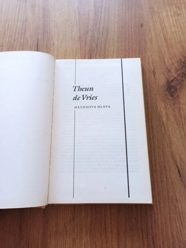THEUN DE VRIES - Haydnova hlava