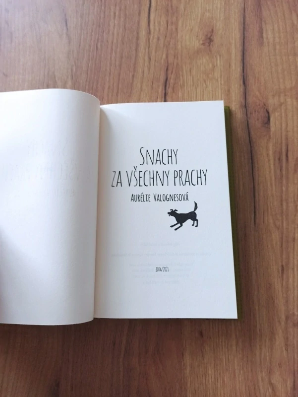 AURÉLIE VALOGNES - Snachy za všechny prachy