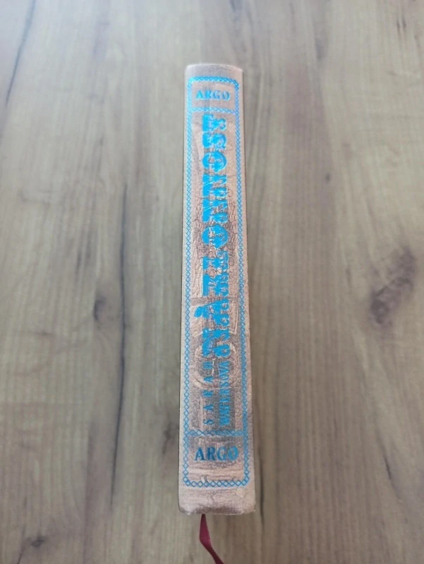 SARAH WATERS - Náklonnost