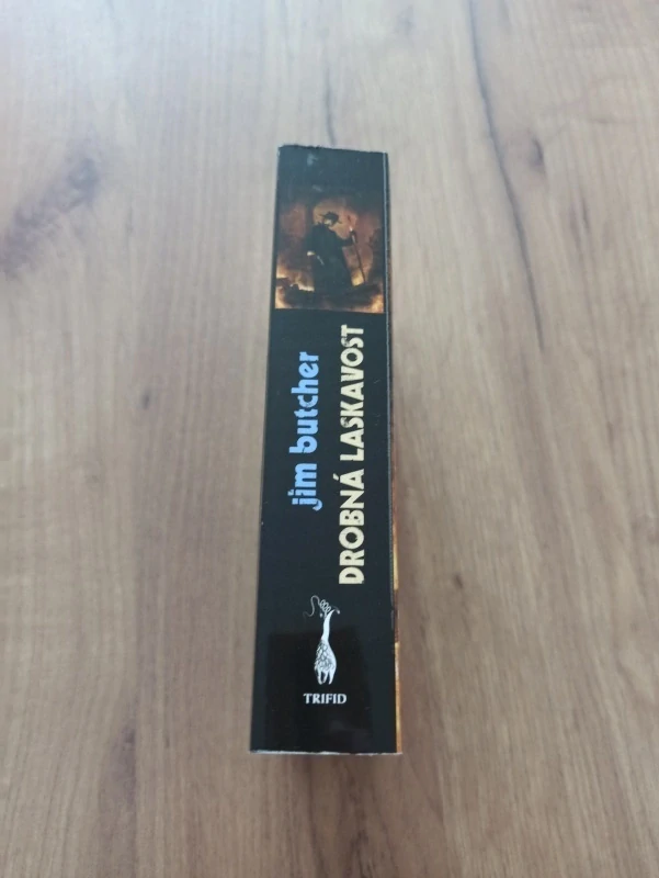 JIM BUTCHER - Drobná laskavost - Harry Dresden 10.