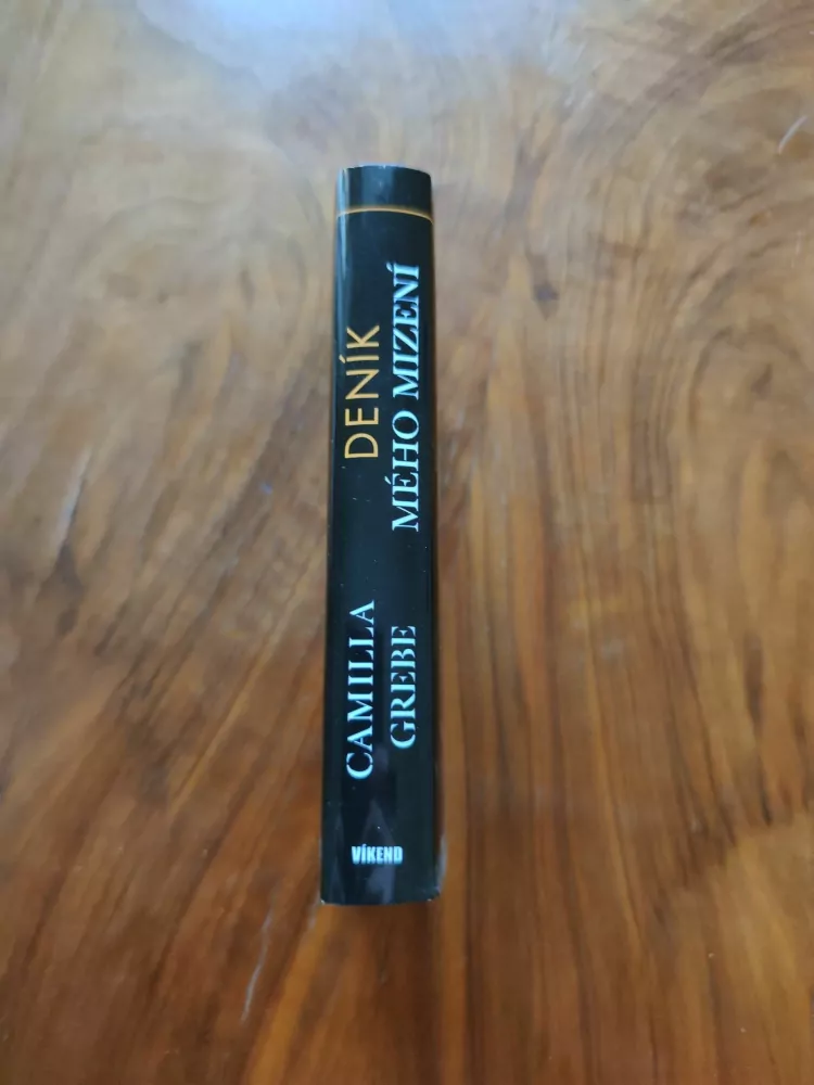 CAMILLA GREBE - Deník mého mizení