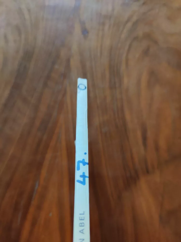 ALAIN DEMOUZON - Pan Abel