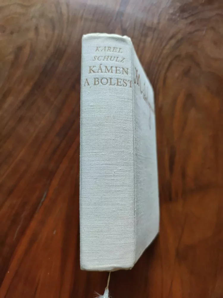 KAREL SCHULZ - Kámen a bolest
