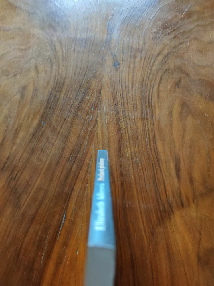 ELIZABETH ADLER - Prchavé představy