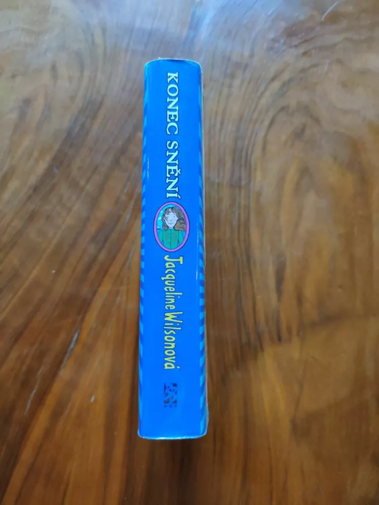 JACQUELINE WILSON - Konec snění