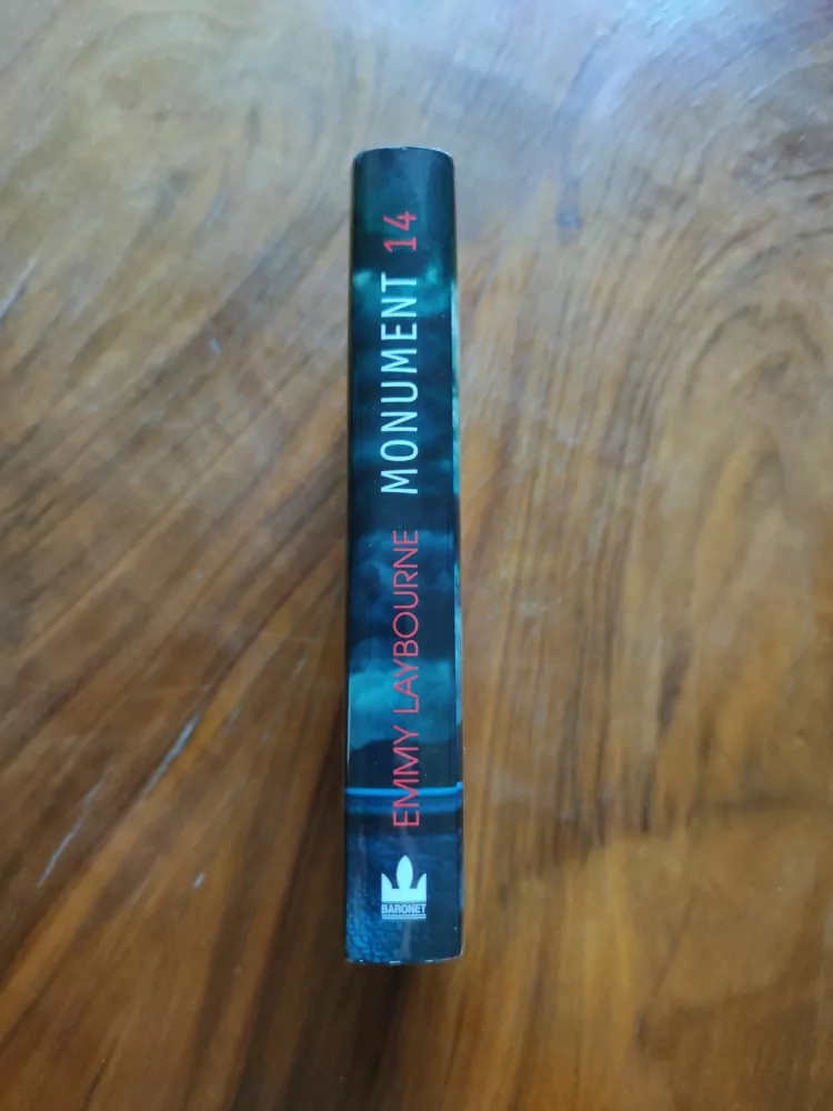 EMMY LAYBOURNE - Monument 14