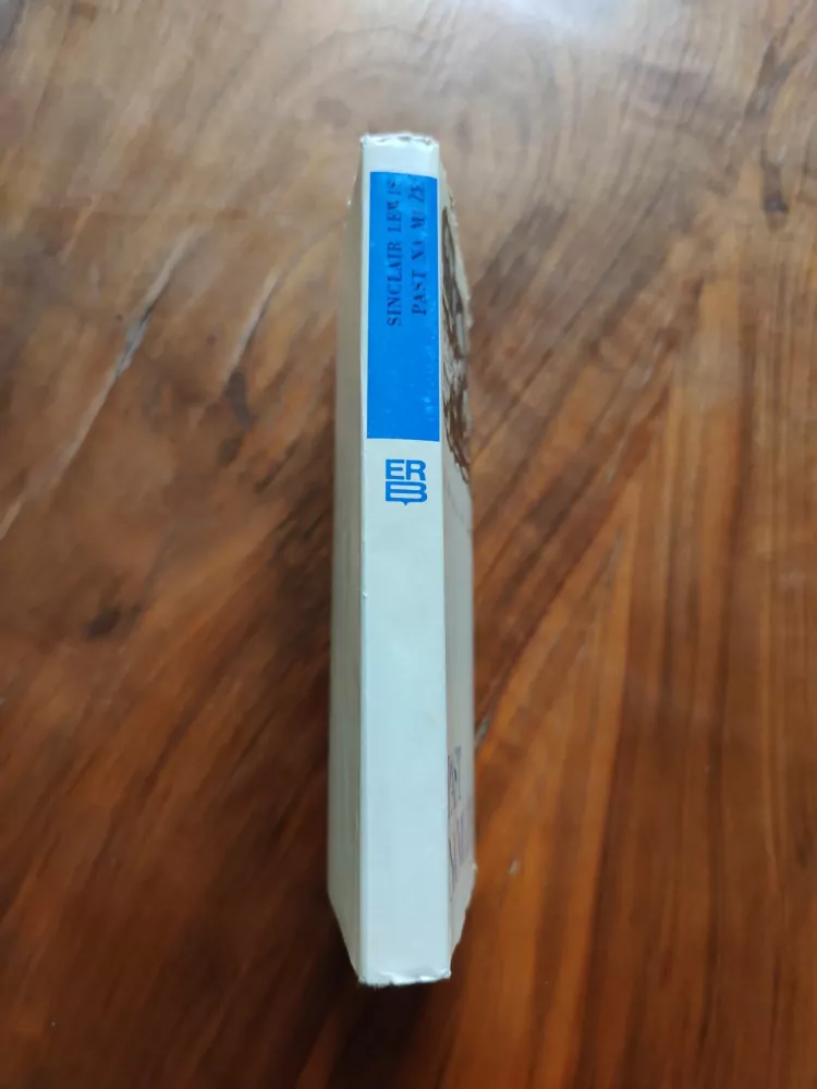 SINCLAIR LEWIS - Past na muže