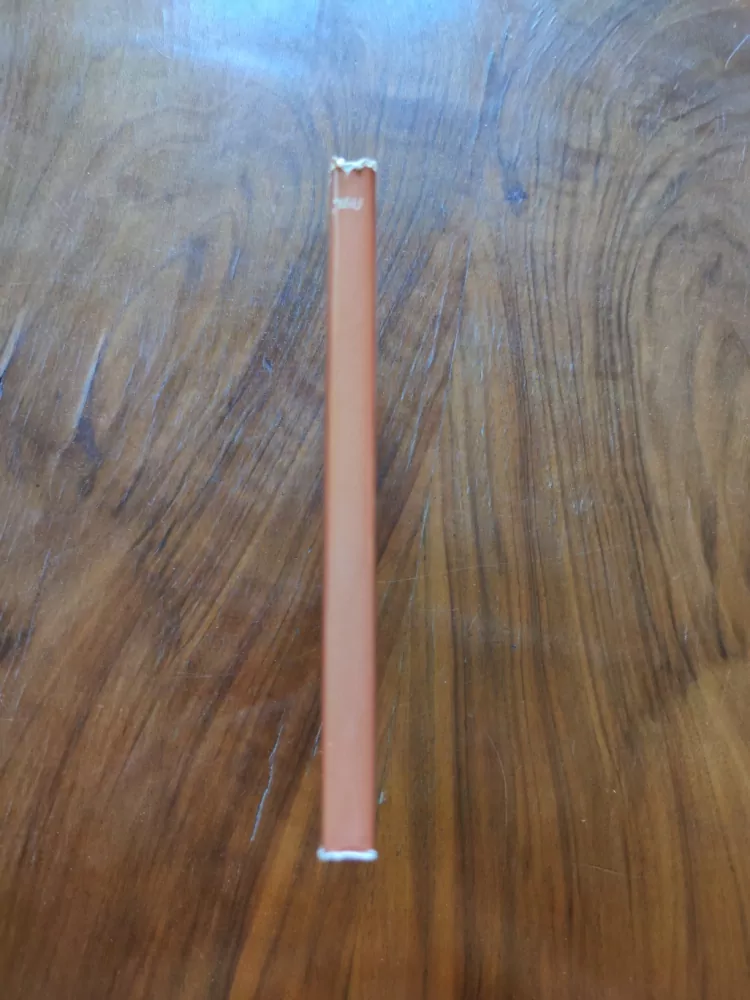 THEODOR STORM - Včelí jezero