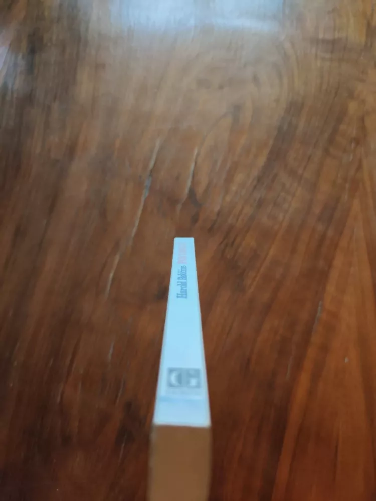 HAROLD ROBBINS - Povídkář