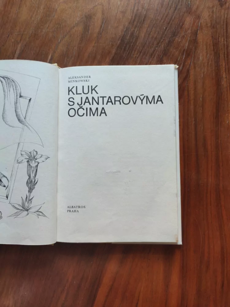 ALEKSANDER MINKOVSKI - Kluk s jantarovýma očima