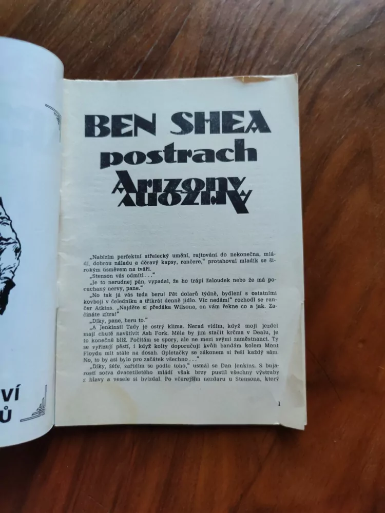 BEN SHEA - Postrach Arizony