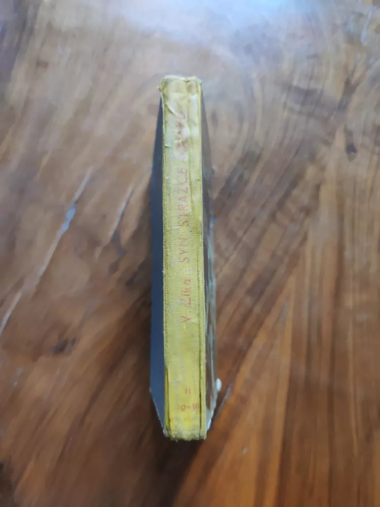 VLÁĎA ZÍKA - Syn strážce majáku