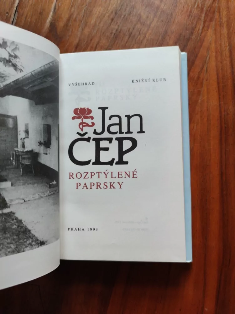 JAN ČEP - Rozptýlené paprsky