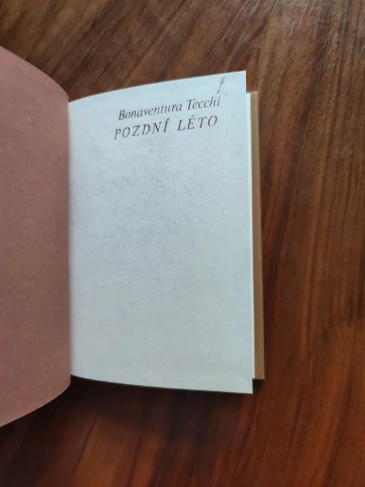 BONAVENTURA TECCHI - Pozdní léto