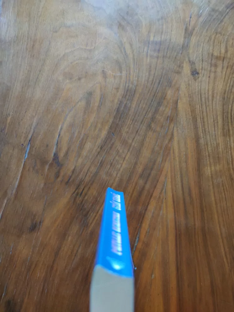 PHYLLIS EISENSTEIN - Stín země