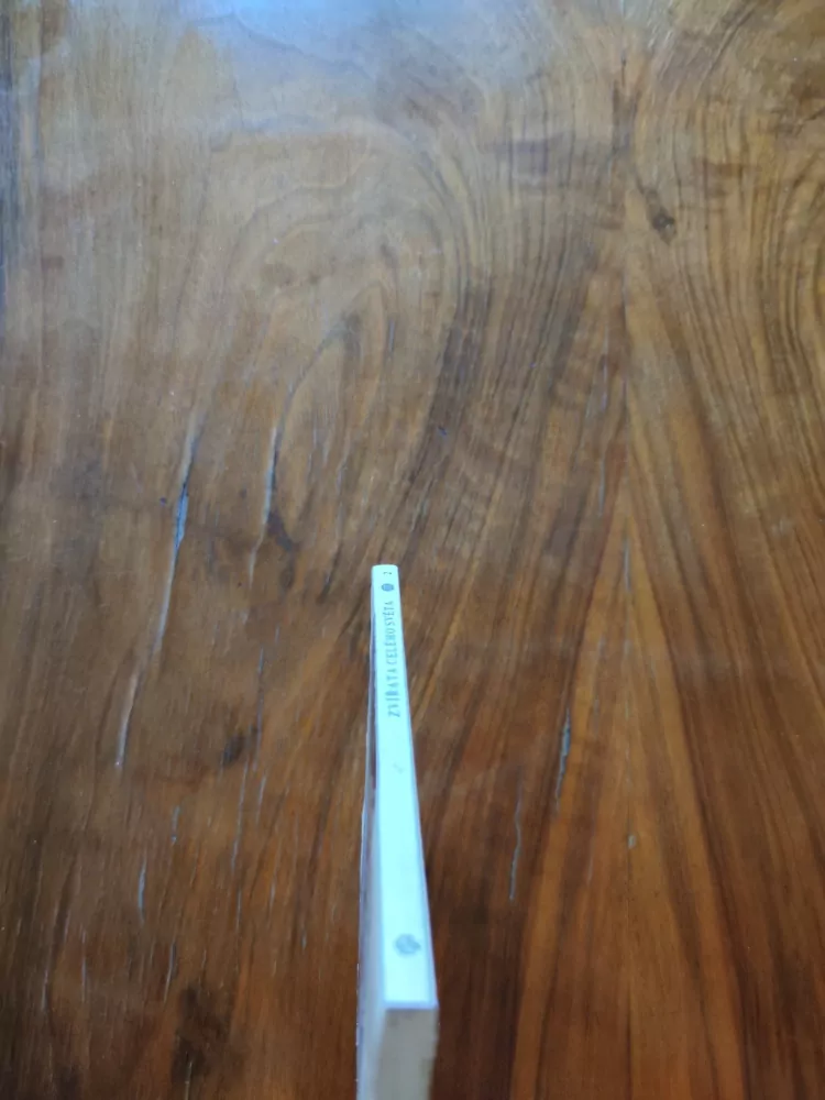 ZDENĚK VESELOVSKÝ - Zvířata celého světa 2. - Koně, osli a zebry