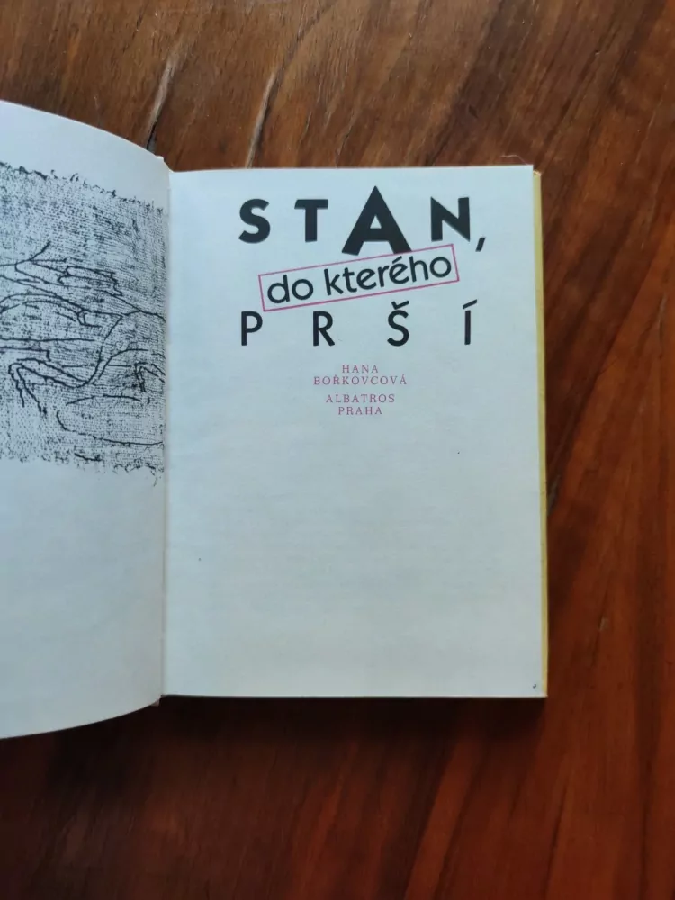 HANA BOŘKOVCOVÁ - Stan, do kterého prší
