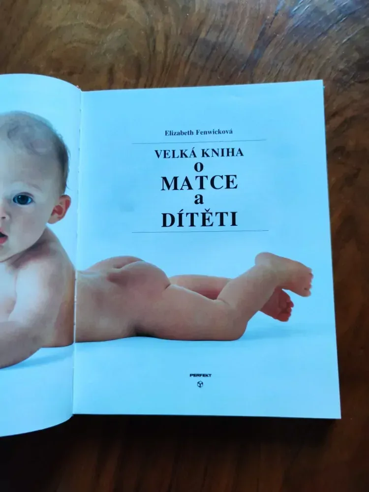ELIZABETH FENWICK - Velká kniha o matce a dítěti