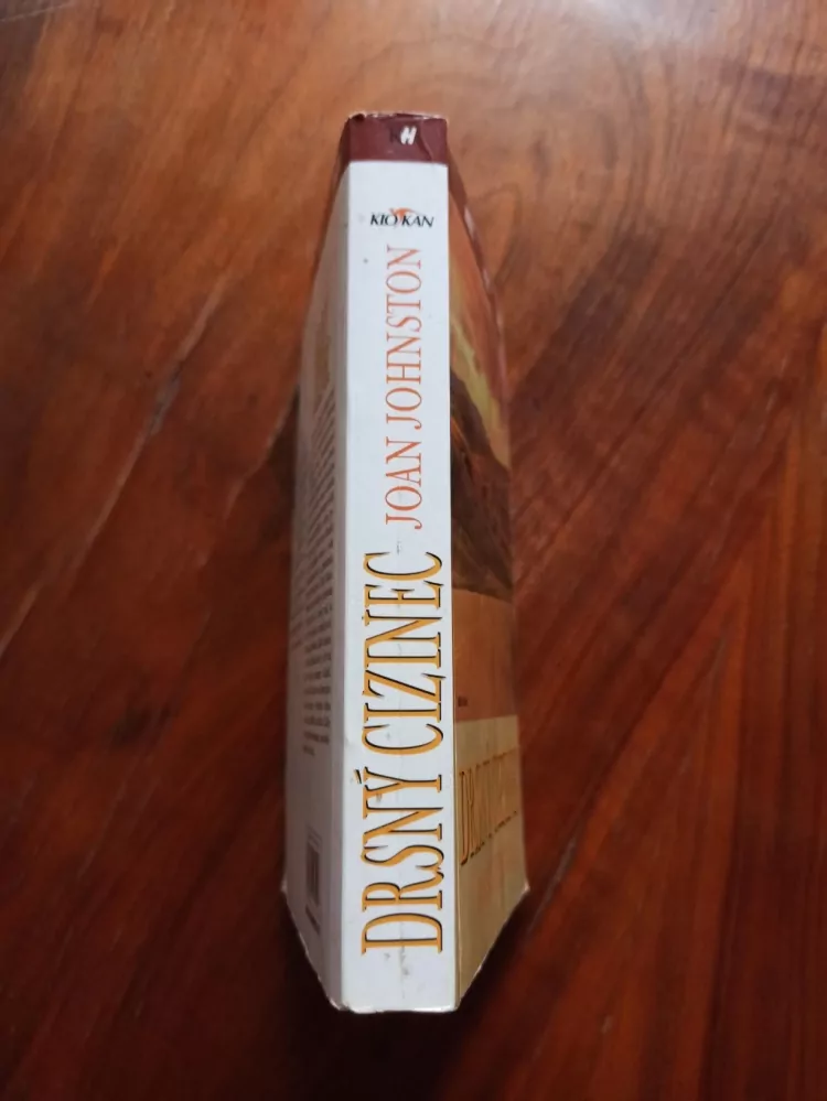 JOAN JOHNSTON - Drsný cizinec