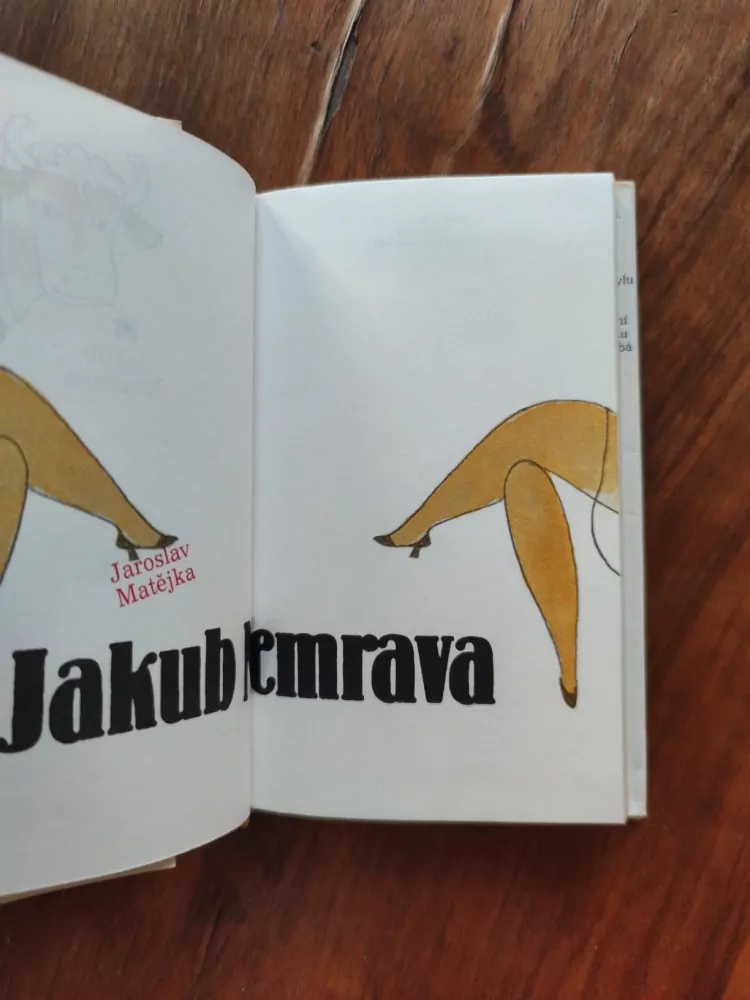 JAROSLAV MATĚJKA - Jakub Nemrava