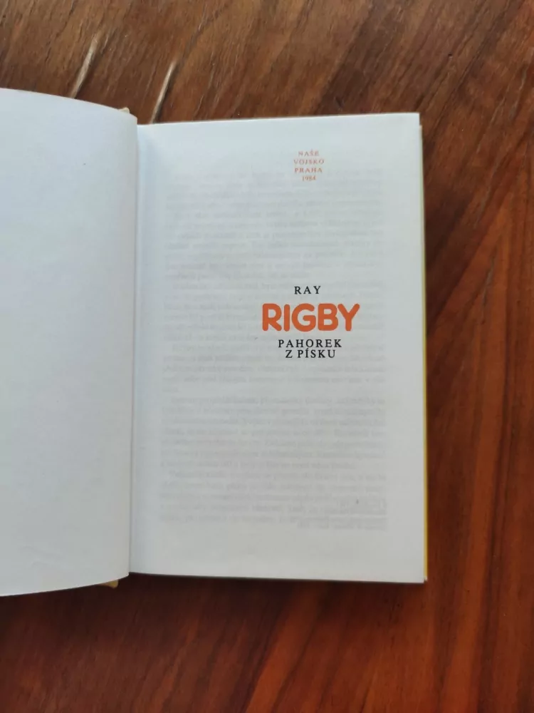 RAY RIGBY - Pahorek z písku