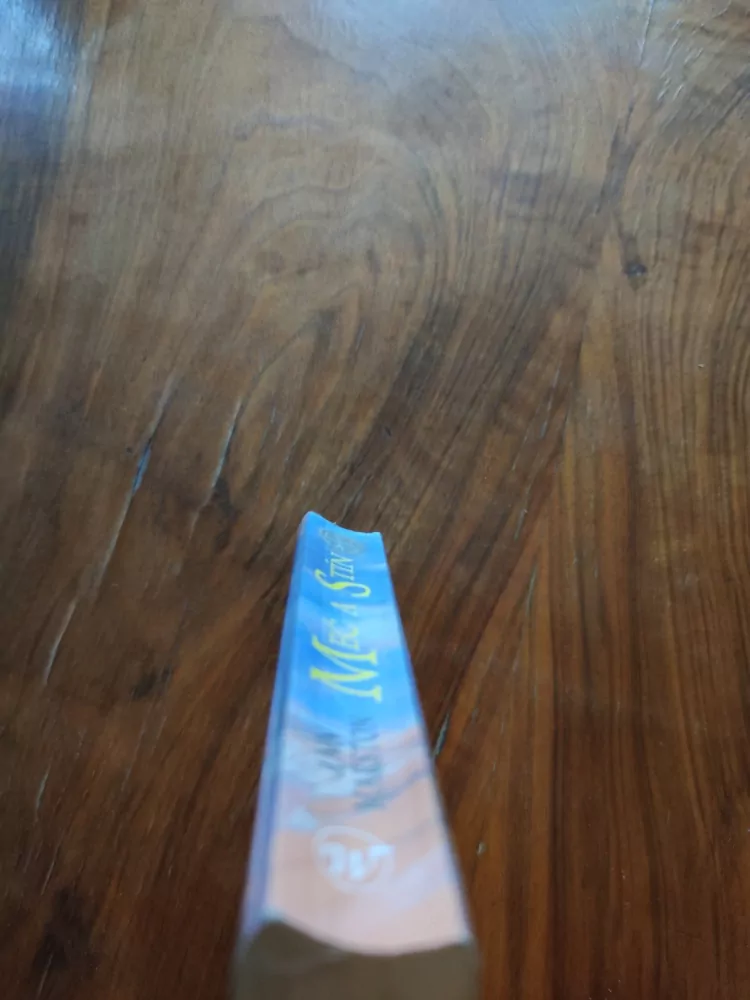 ANN MARSTON - Ostří exilu 3. - Meč a stín