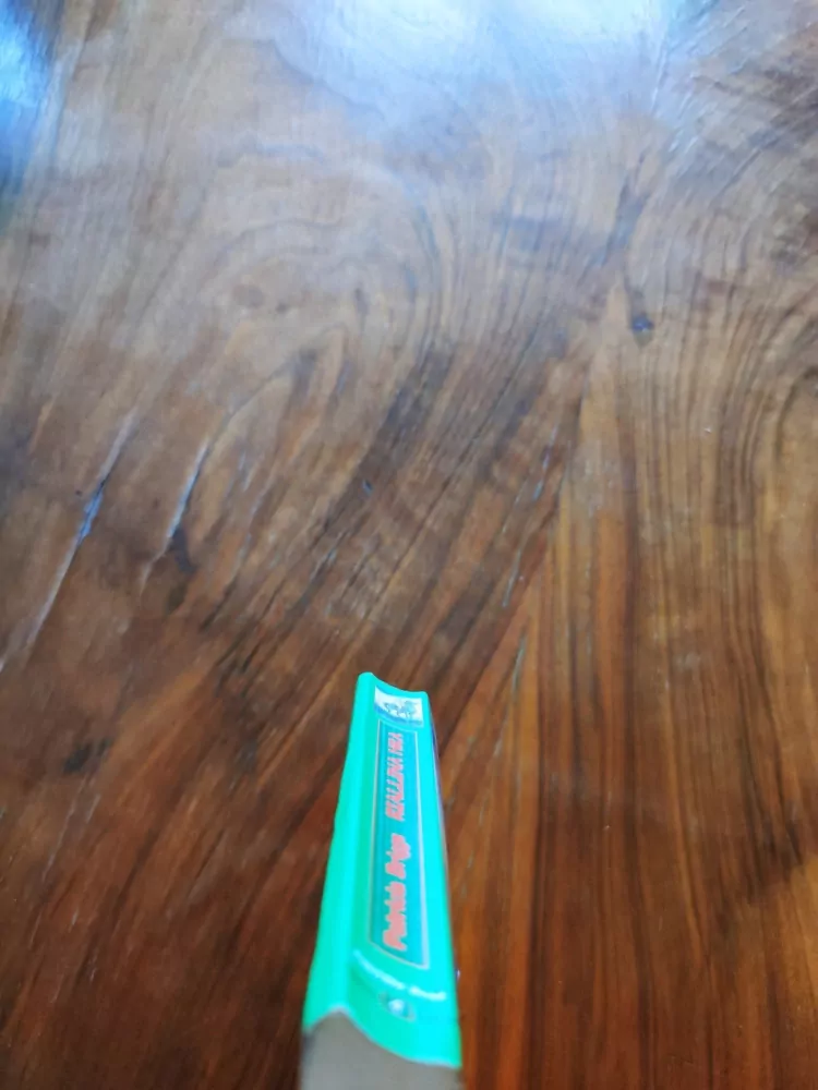 PATRICIA BRIGGS - Riallina hra