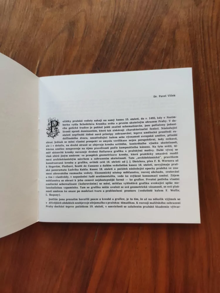 PAVEL VLČEK - Praha v malbě 1. poloviny 19. století